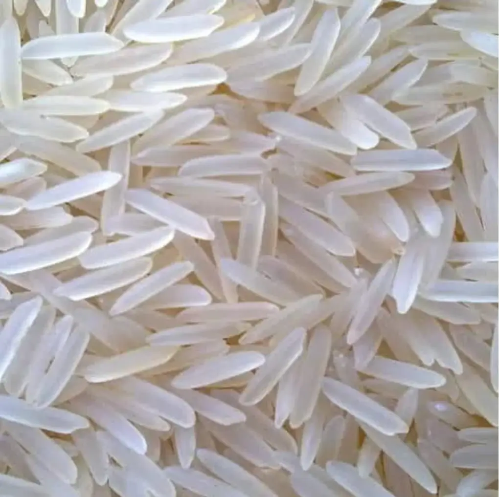 1121 Sella Basmati Rice | APS Foods Amritsar